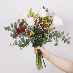 FloxSet de la semana